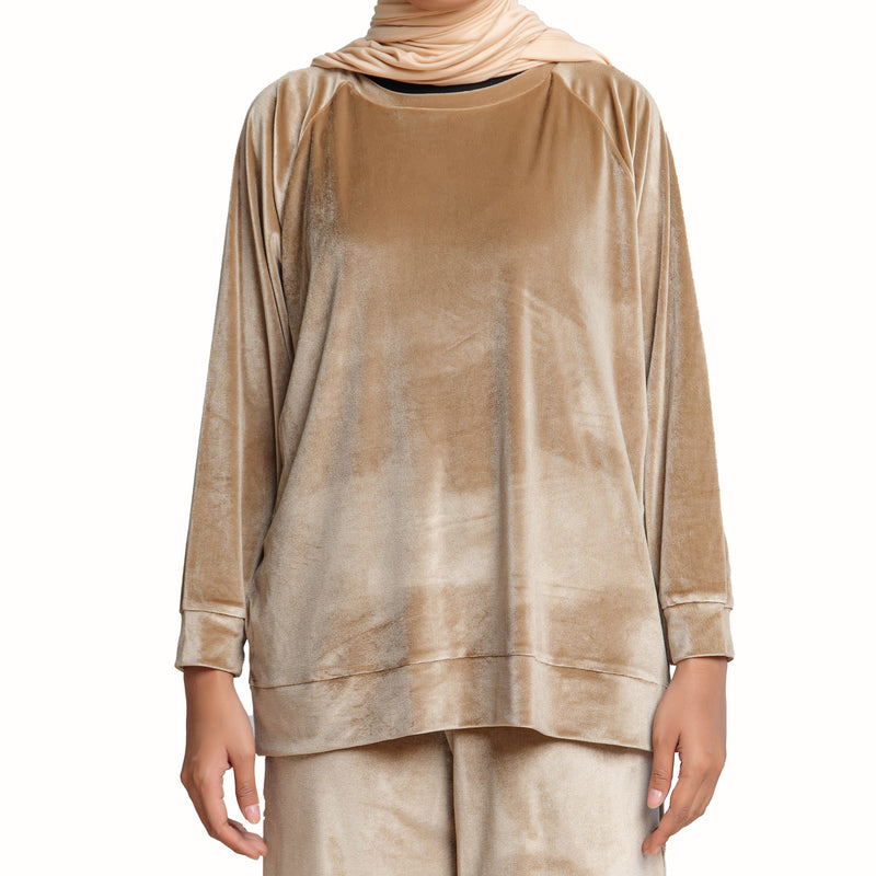 Luxurious Velvet Brown